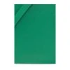 Jacquemus Le Gadju Phone Holder With Strap Green -Miinto Tilbehor Butik unnamed file 232